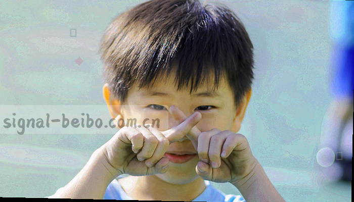 问题反馈处理流程循环示意：提交反馈、分类处理、一个工作日内回复、季度汇总公开